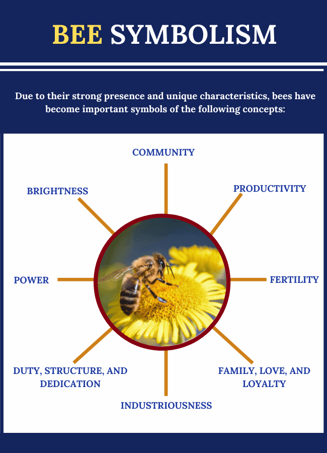 Bee Symbolism Meanings