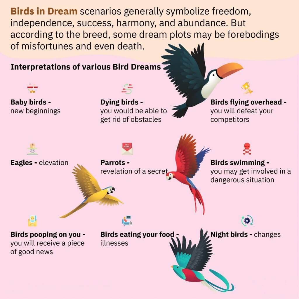 Birds in Dream