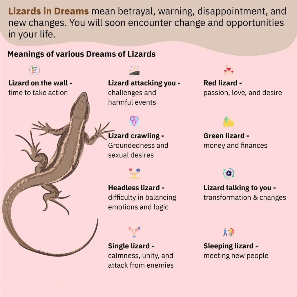 Dream Lizard Meaning