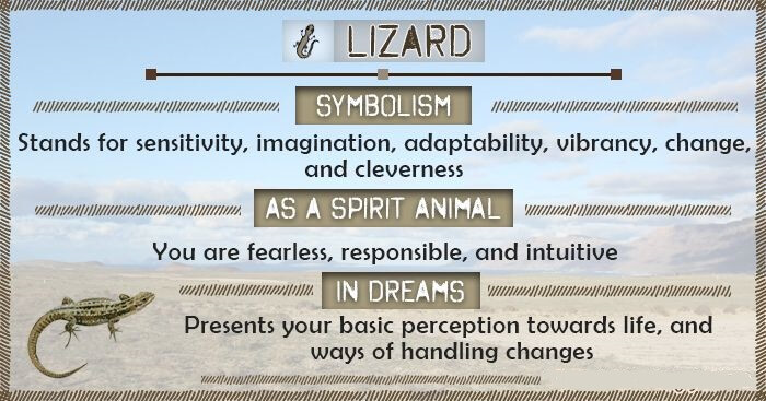 Lizard Interpretation