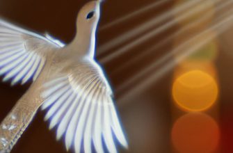 What is The Spiritual Meaning of a Bird Flying in Your House?