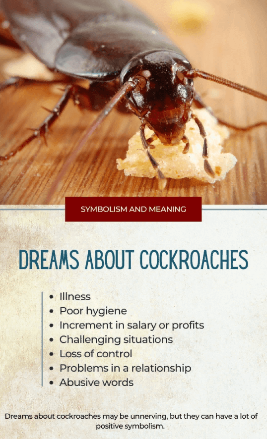 Dreaming About Cockroaches