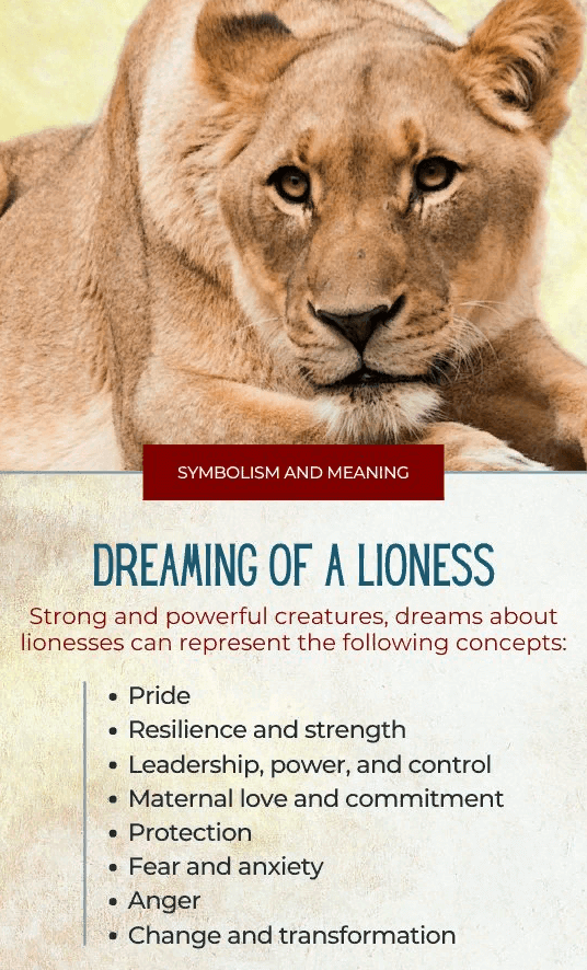 Dreaming Of a Lioness