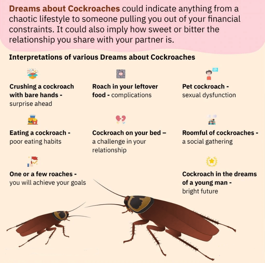 Dreams About Cockroaches