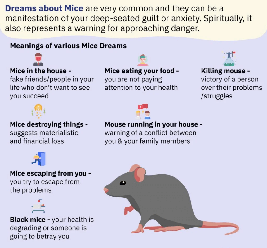 Dreams About Mice