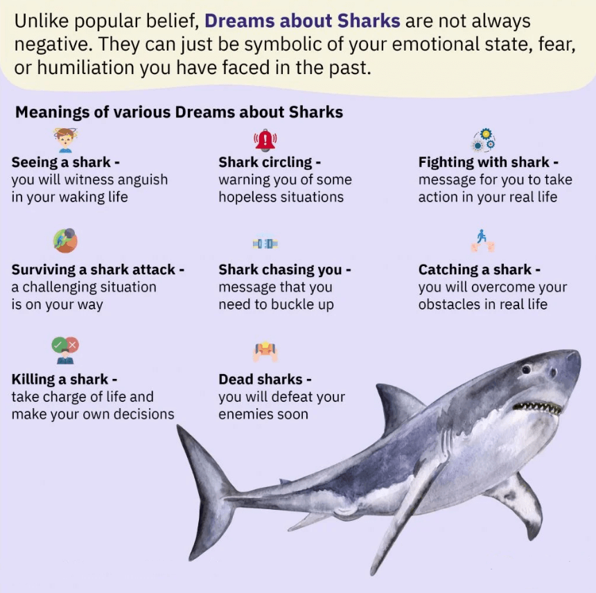 Dreams about Sharks