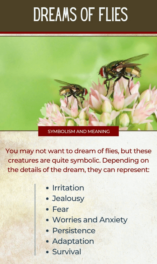 Dreams of Flies