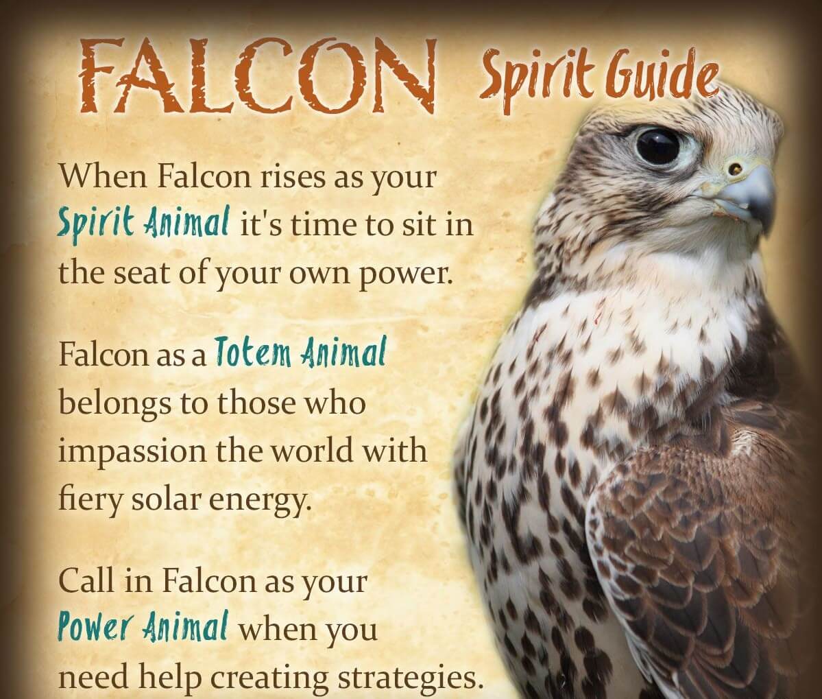 Falcon Spirit Guide