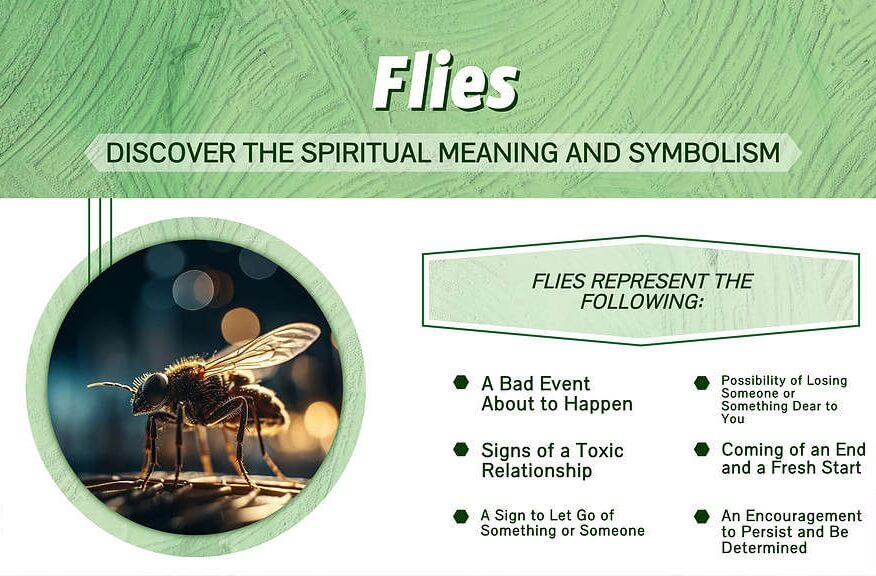 Flies Spiritual Meaning