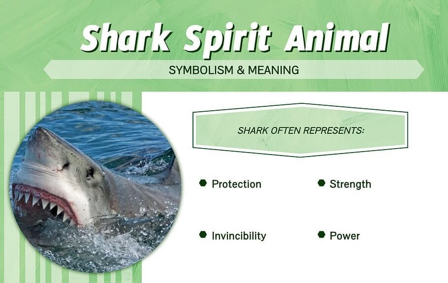 Shark Spirit Animal