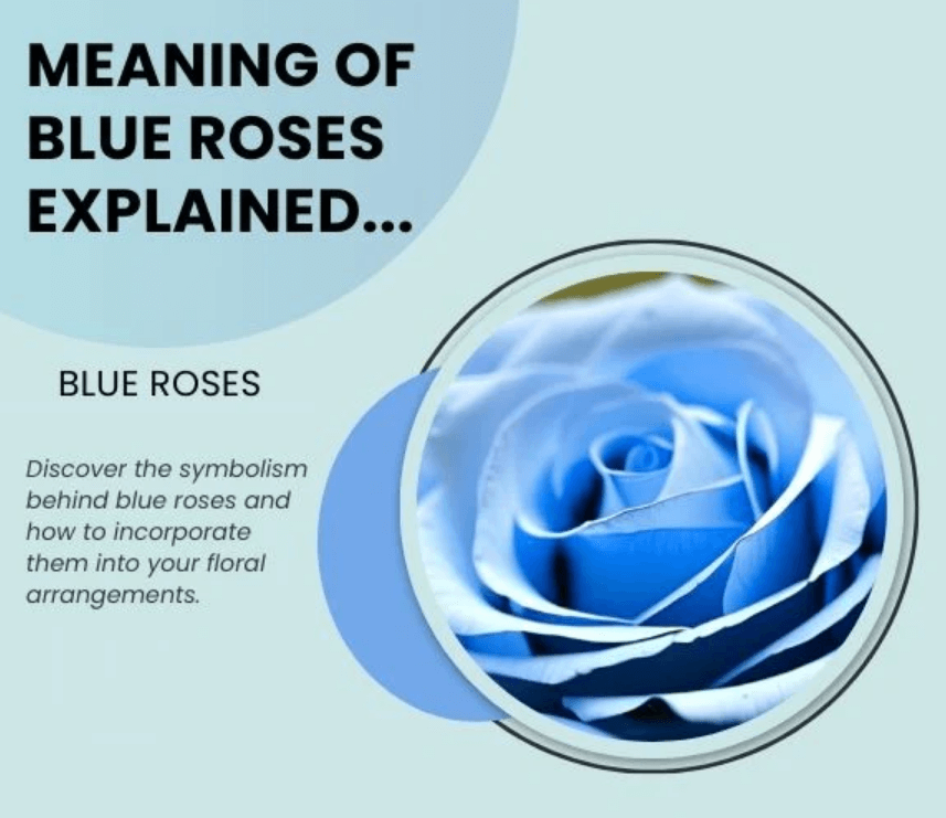 Blue Rose Spiritual Meaning